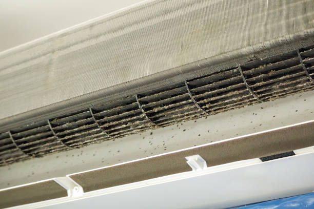 Best HVAC System Cleaning  in London, CA