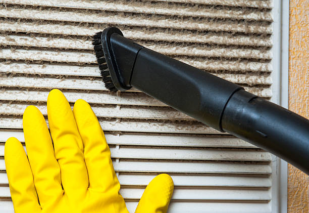 Air Duct Mold Removal in CA